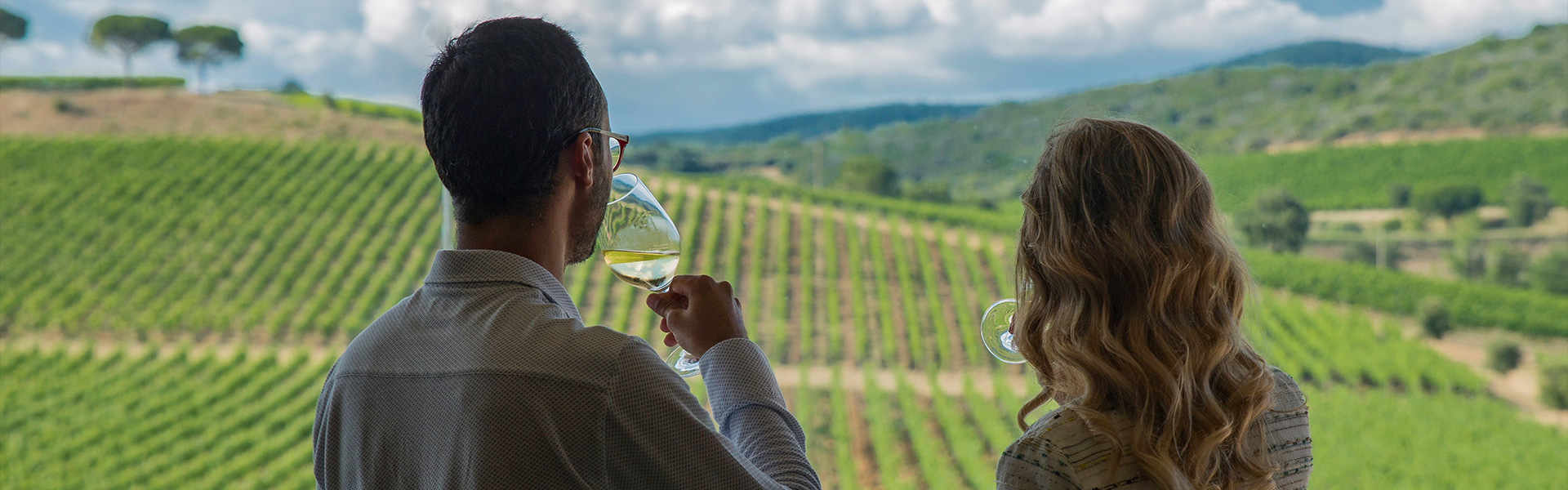 Torna Architetto in Cantina, Toscana Wine Architecture: Architettura, Vino e Territorio